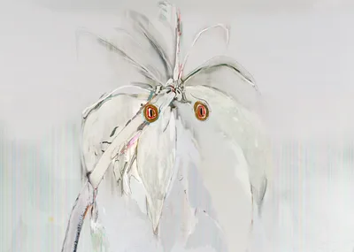 20110901 Alex Fischer Parrots.jpg
